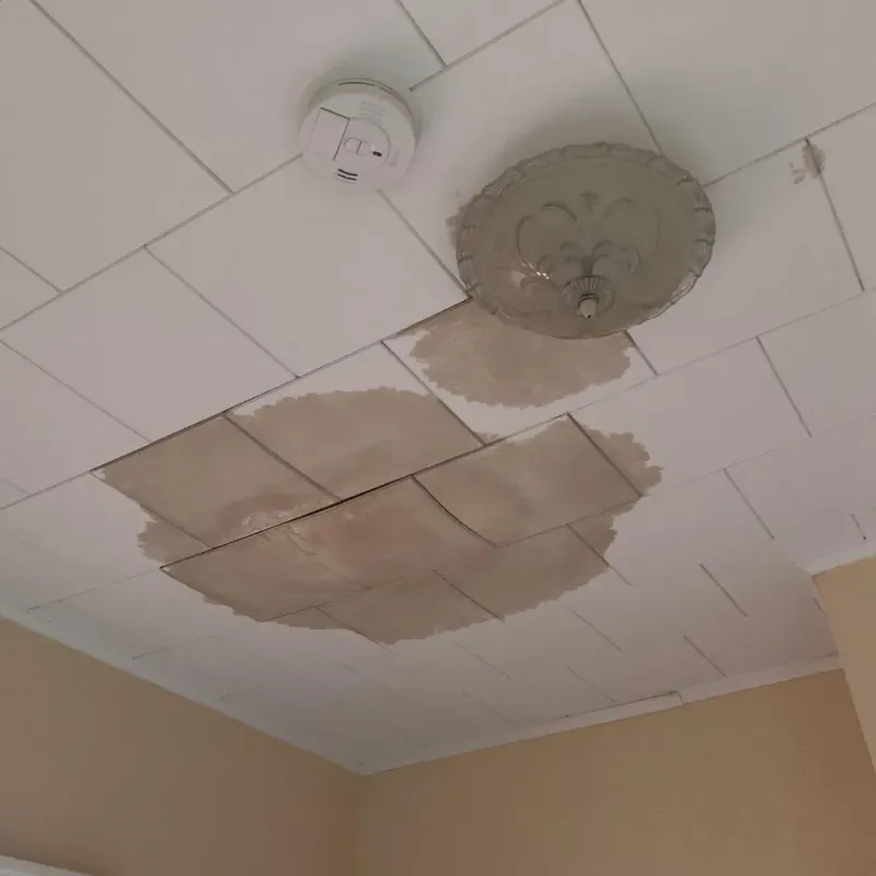 Ceiling Water Damage Repair in Jefferson County, AR