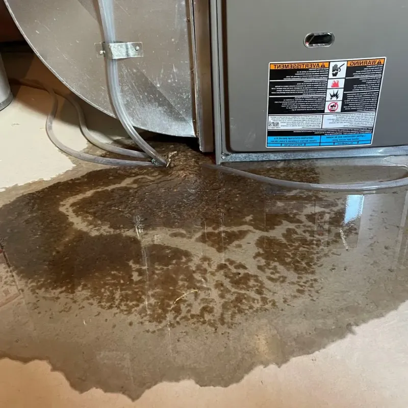 Pipe Burst and Leak Restoration in Jefferson County, AR