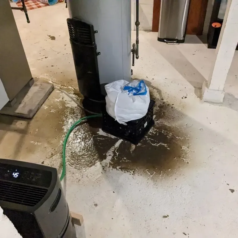 Sewage Backup Cleanup Service in Jefferson County, AR